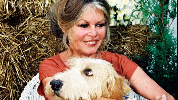 Fondation Bardot : pourquoi l'avenir du grand bébé de Brigitte Bardot semble incertain ?