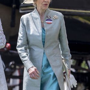 Il s'agissait de la princesse Anne, victime de blessures et d'une commotion cérébrale après une chute à cheval chez elle, à Gatcombe

La princesse Anne - Les royautés assistent à la course hippique Royal Ascot, le 17 juin 2025. 
© Goff Inf / Bestimage