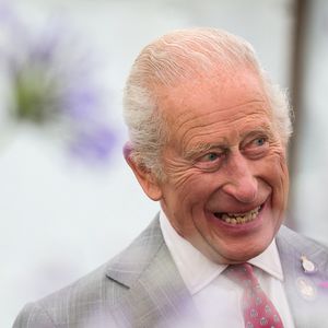 Le roi Charles III d'Angleterre et Camilla Parker Bowles, reine consort d'Angleterre, visitent le Sandringham Flower Show 2025.
Crédit : Chris Radburn/WPA-Pool/Bestimage