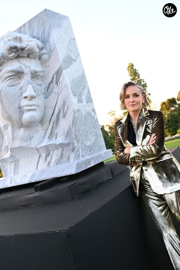 Exclusif - Sharon Stone - Dîner de charité "Knights of Charity" au Château de la Croix des Gardes à Cannes le 20 mai 2026. © Bruno Bebert / Bestimage
