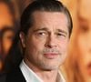 Brad Pitt a confié une angoisse qu'il a souvent concernant le Var, où il possède un domaine viticole.

Brad Pitt à la première du film "Babylon" à Los Angeles. Broadimage / Bestimage