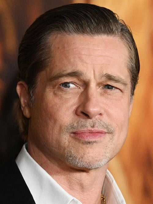 "Je surveille à distance" : Quand Brad Pitt n'est pas en France, le domaine qu'il possède ne quitte plus ses pensées pour une raison précise