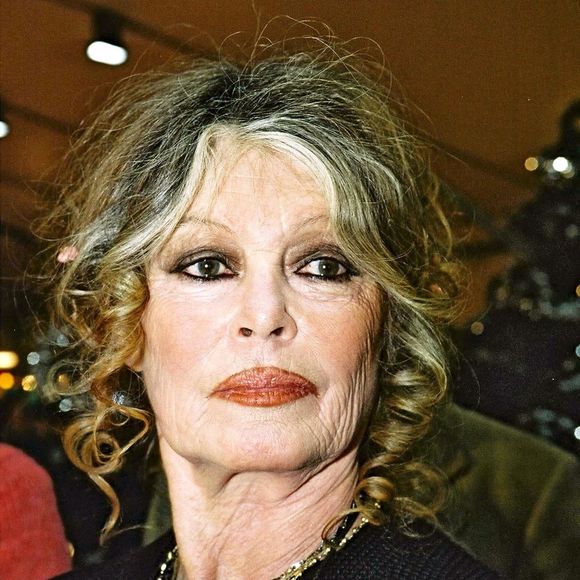 La star du cinéma français Brigitte Bardot est morte à l'âge de 91 ans. Photo par Backgrid UK/ Bestimage