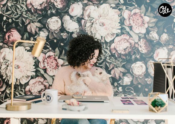 Honest Paws /Unsplash