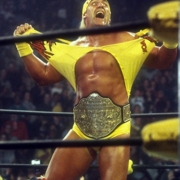 La légende du catch Hulk Hogan ne sentirait plus le bas de son corps après une opération du dos. Il serait contraint de se déplacer à l'aide d'une canne. C'est en tous cas ce qu'a déclaré Kurt Angle dans son podcast.
Backgrid USA / Bestimage