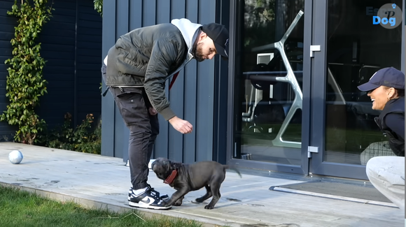 Un éducateur canin très suivi sur YouTube

Je ne veux pas faire de bêtises avec mon Cane Corso ! (Feat. Vitaa) - Esprit Dog, YouTube
