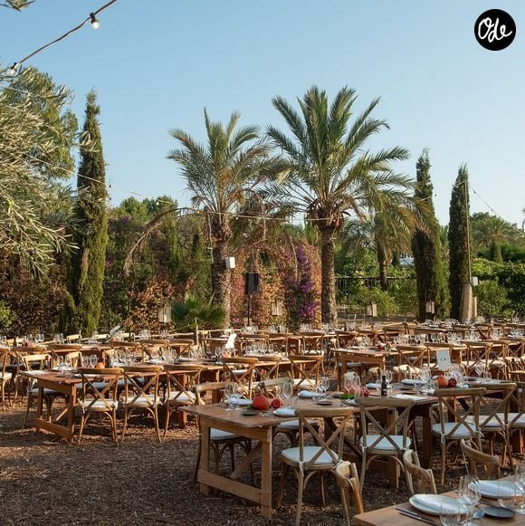 Yotam Ottolenghi, chef mondialement connu.
