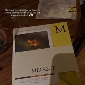 Story Instagram Iris Mittenaere Mai 2026
