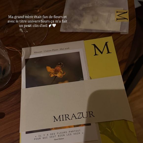 Story Instagram Iris Mittenaere Mai 2026