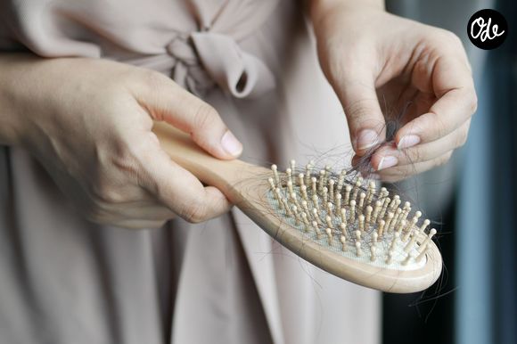 Un dépoussiérage hebdomadaire combiné à un lavage mensuel permet de purifier la brosse.