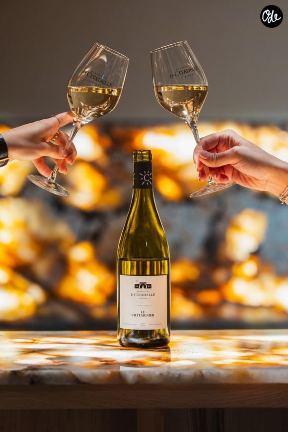 Le couple développe depuis un nouveau business autour d’un vignoble conduit en agriculture biologique, mais aussi de l’œnotourisme, de la gastronomie et du patrimoine. 

Valérie Panagiotis-Vausselin et Yannick Panagiotis ont investi depuis 2022 dans le domaine de la Citadelle. Crédit : Yann Villaret