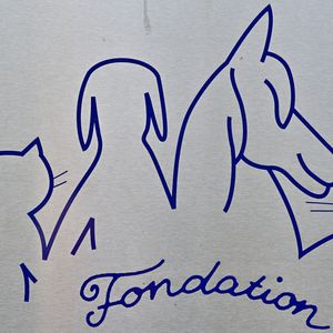 Illustration de l'ancienne demeure (bergerie du XVIIIème siècle) de Brigitte Bardot à Bazoches-sur-Guyonne dans les Yvelines, France, le 2 janvier 2026. © Christian Liewig/Bestimage