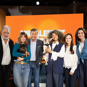 Tout le long de l'émission, Gwendoline Hamon évoque son amour pour les chiens.
Raphaël Mezrahi, Gwendoline Hamon, Bernard Montiel, Oli, Monday, Graziella Dolce, Farah Kesri sur plateau de l'émission "Animalement Vôtre" présentée par Bernard Montiel et diffusée le 15 février 2026 sur France 3, à Paris, France, le 13 janvier 2026. © Julien Sarkissian/Bestimage