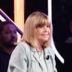 Chantal Goya décline l'aide de Julien Doré et passe à l'étape supérieure : On ne plaisante pas pour Pandi Panda