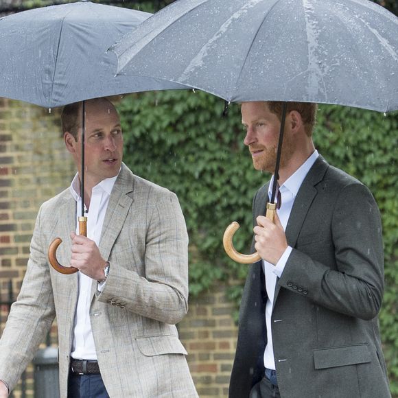 Le prince William et le prince Harry lors de la visite du  Sunken Garden dédié à la mémoire de Lady Diana à Londres, le 30 août 2017. @Agence / Bestimage