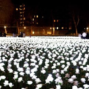 La princesse de Galles visite le jardin Ever After à l'hôpital Royal Marsden. Le jardin est composé de 30 000 roses illuminées que les membres du public peuvent dédier à un membre de leur famille en soutien à la Royal Marsden Cancer Charity à Londres, Angleterre, Royaume-Uni, le 13 décembre 2025. Photo by Toby Shepheard/Kensington Palace/Avalon/ABACAPRESS.COM