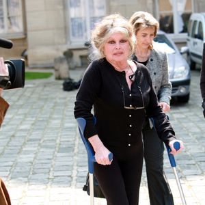 Brigitte Bardot rencontre au nom de son association le ministre de l'agriculture Dominique Bussereau autours des thèmes suivants : Comment endiguer la surpopulation des animaux de compagnie en France, obligation d'étourdissement lors des abattages rituel, réforme de l'élevage des poulets de chair le 11 mai 2006  
© JSB/Pixplanete/Bestimage