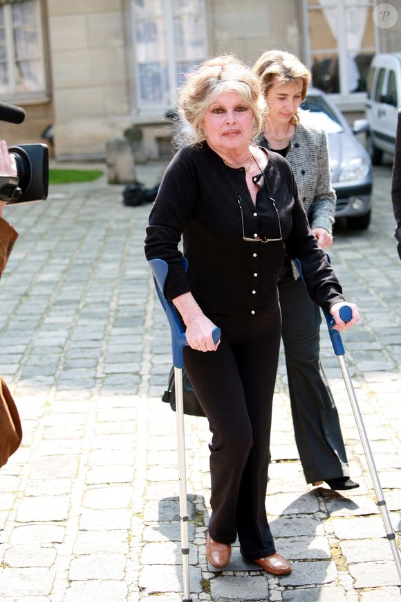 Brigitte Bardot rencontre au nom de son association le ministre de l'agriculture Dominique Bussereau autours des thèmes suivants : Comment endiguer la surpopulation des animaux de compagnie en France, obligation d'étourdissement lors des abattages rituel, réforme de l'élevage des poulets de chair le 11 mai 2006  
© JSB/Pixplanete/Bestimage