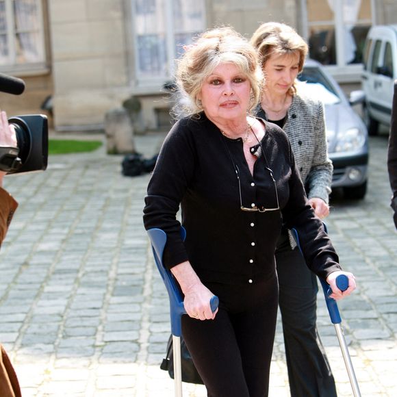 Brigitte Bardot rencontre au nom de son association le ministre de l'agriculture Dominique Bussereau autours des thèmes suivants : Comment endiguer la surpopulation des animaux de compagnie en France, obligation d'étourdissement lors des abattages rituel, réforme de l'élevage des poulets de chair le 11 mai 2006  
© JSB/Pixplanete/Bestimage