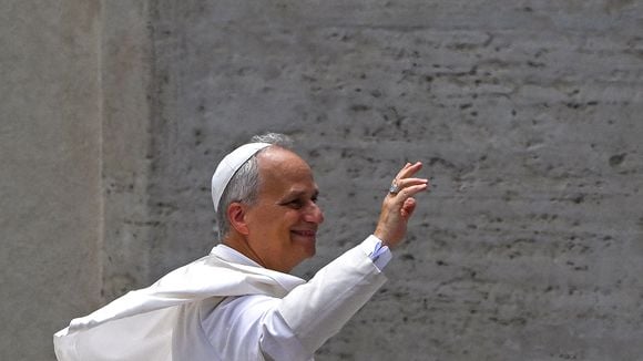 L'arbre généalogique a parlé, le pape Léon XIV a plusieurs grandes stars internationales dans sa famille