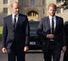 C'est un drame pour la famille royale britannique qui vient de perdre un membre important de leur tribu. 

Le prince de Galles William et le prince Harry, duc de Sussex à la rencontre de la foule devant le château de Windsor, suite au décès de la reine Elisabeth II d'Angleterre