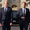 Triste nouvelle pour William et Harry qui viennent de perdre un proche, le roi Charles également accablé