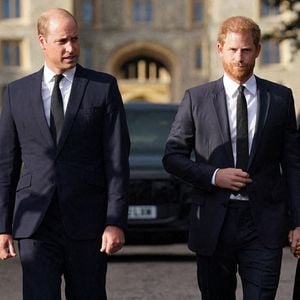 C'est un drame pour la famille royale britannique qui vient de perdre un membre important de leur tribu. 

Le prince de Galles William et le prince Harry, duc de Sussex à la rencontre de la foule devant le château de Windsor, suite au décès de la reine Elisabeth II d'Angleterre