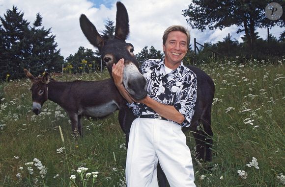 Aujourd'hui, nous sommes en capacité de vous confirmer que le refuge de Pascal Sevran à Morterolles a bel et bien été cédé, bien plus tard qu'annoncé, refermant ainsi sa succession. 

Photo d'archives de Pascal Sevran, personnalité de la télévision, dans sa maison de campagne à Morterolles, France, le 12 juillet 1993. Photo by Pascal Baril/ABACAPRESS.COM