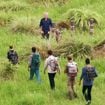 Nouvelle inattendue pour l'émission Koh-Lanta, des mots de la production s'imposent : "C'est avec tristesse que nous..."