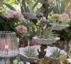 Au Mans, ville où il vit dans une belle maison depuis plusieurs années, l’ancien chroniqueur a ouvert en décembre 2023 Hautjardin.

Instagram hautjardin_steevy