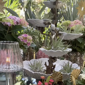 Au Mans, ville où il vit dans une belle maison depuis plusieurs années, l’ancien chroniqueur a ouvert en décembre 2023 Hautjardin.

Instagram hautjardin_steevy