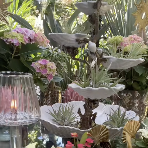 Au Mans, ville où il vit dans une belle maison depuis plusieurs années, l’ancien chroniqueur a ouvert en décembre 2023 Hautjardin.

Instagram hautjardin_steevy