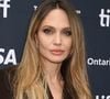 Le tournage du blockbuster "Lara Croft : Tomb Raider" il y a 26 ans a profondément marqué l'actrice Angelina Jolie.

Angelina Jolie au Festival du Film de Toronto

© Bestimage