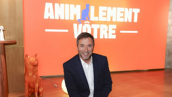 Animalement Vôtre (France 3) : Bernard Montiel reçoit un célèbre écrivain dans son émission, il a vendu plus de 24 millions de livres dans le monde