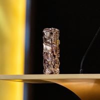 César 2026 : Changement dans la cérémonie ! On sait qui va animer la 51e édition, un artiste qu'on n'avait pas vu venir et pourtant