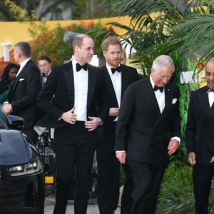Le monarque combat depuis un moment maintenant un cancer dont on ne connaît pas l'origine. 

Le prince William, duc de Cambridge, le prince Harry, duc de Sussex, le prince Charles, prince de Galles lors de la  première mondiale de la série Netflix "Our Planet" au Musée d'histoire naturelle de Londres le 4 avril 2019. ©Backgrid UK/ Bestimage