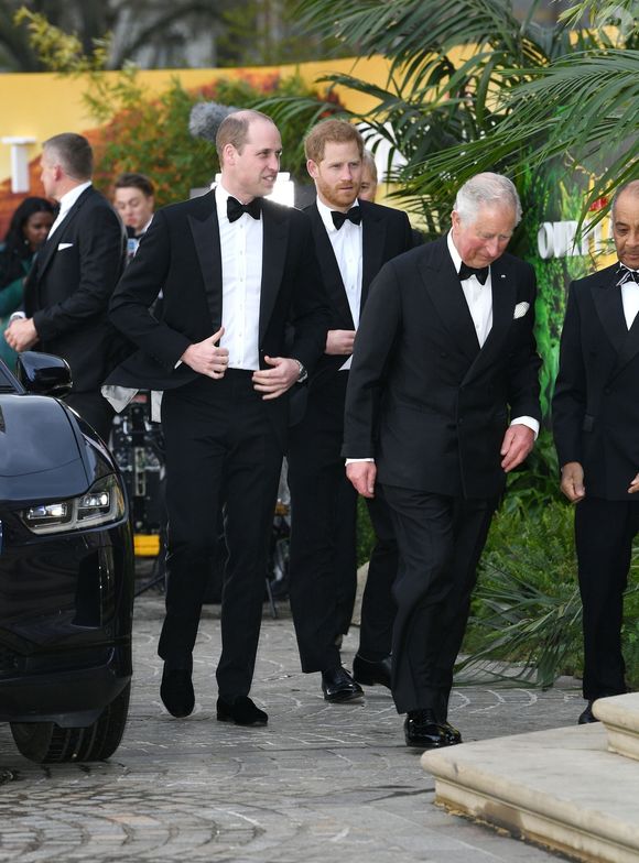 Le monarque combat depuis un moment maintenant un cancer dont on ne connaît pas l'origine. 

Le prince William, duc de Cambridge, le prince Harry, duc de Sussex, le prince Charles, prince de Galles lors de la  première mondiale de la série Netflix "Our Planet" au Musée d'histoire naturelle de Londres le 4 avril 2019. ©Backgrid UK/ Bestimage