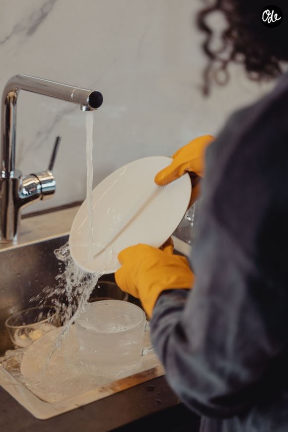 Pour garantir un été sans trop de nuisibles, une hygiène domestique rigoureuse reste la meilleure arme préventive pour éviter la moindre prolifération.