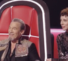 Malgré cette notoriété et un public de plus en plus nombreux, la chanteuse affirme garder les pieds sur terre.

"The Voice" 30 mai 2026 TF1