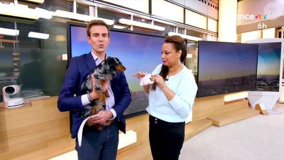 Julia Martin, chroniqueuse dans "Télématin".