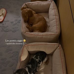 C'est accompagnée de ses deux fidèles chiens, Cali et Mia, que Iris Mittenaere a profité de ce cadre idyllique.