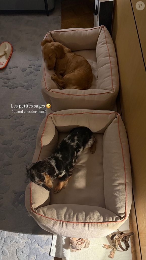 C'est accompagnée de ses deux fidèles chiens, Cali et Mia, que Iris Mittenaere a profité de ce cadre idyllique.