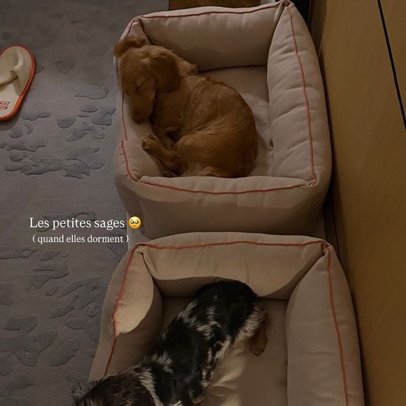 C'est accompagnée de ses deux fidèles chiens, Cali et Mia, que Iris Mittenaere a profité de ce cadre idyllique.