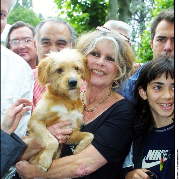 En 2018, Brigitte Bardot publiait Larmes de combat, consacré à sa lutte pour la cause animale.

Brigitte Bardot, marraine du premier village d'adoption d'animaux à Saint Laurent du Var.

DOMINIQUE JACOVIDES / BESTIMAGE
