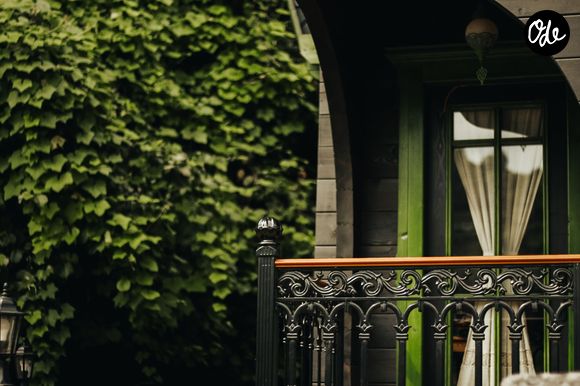 Tout comme les murs végétaux. 
Photo de Sara mazin sur Pexels