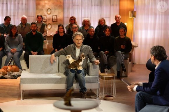 Exclusif - Bernard Montiel, Raphaël Mezrah, Oli. avec Charles Berling et Charles Edouard Fusari invités, Olivia Juriste et Sylvain Vétérinaire sur plateau de l'émission "Animalement Vôtre" présentée par Bernard Montiel et diffusée le XXX sur France 3, à Paris, France, le 12 janvier 2026. © Julien Sarkissian/Bestimage