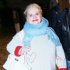 Exclusif - Isabelle Nanty - Arrivées des people à l'avant-première du film "Je ne suis pas un héros" à UGC Bercy à Paris le 7 novembre 2023.  Jonathan Rebboah / Panoramic / Bestimage