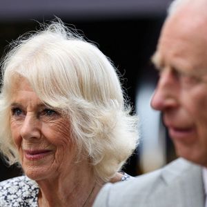 Le roi Charles III d'Angleterre et Camilla Parker Bowles, reine consort d'Angleterre, visitent le Sandringham Flower Show 2025.
Crédit : Chris Radburn/WPA-Pool/Bestimage