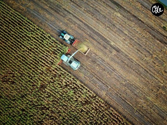 Samuel Darchy, ancien footballeur, s'est reconverti dans l'agriculture.