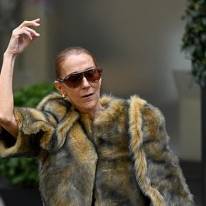 Le collier The Address appartient à la collection Histoire de Style 2026.

Céline Dion acclamée par ses fans à la sortie de l’hôtel Royal Monceau à Paris, avant de se rendre à la Plenitude Arena de Paris La Défense, pour sa troisième date de concert, le 16 septembre 2026. © Lionel Urman/Bestimage